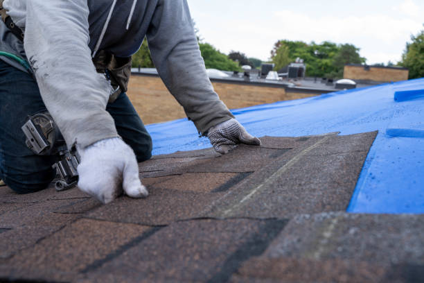 Best Roof Leak Repair  in Manassas Park, VA