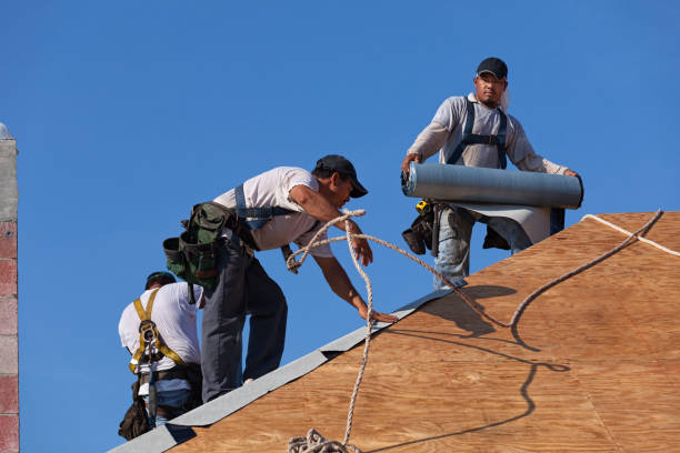 Best Commercial Roofing Services  in Manassas Park, VA
