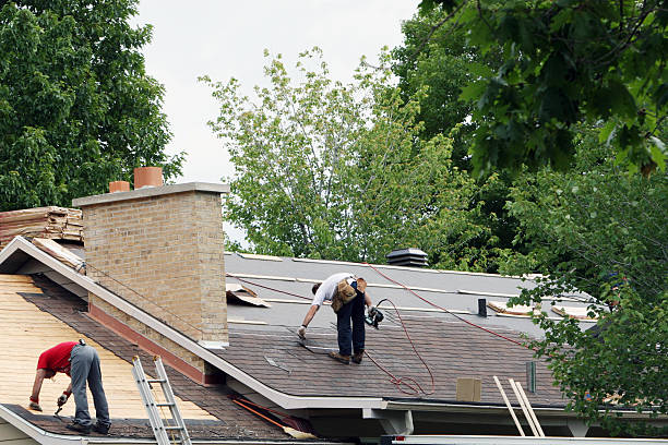 Best Roof Repair Services  in Manassas Park, VA