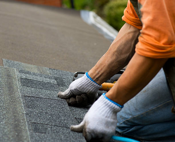 Best Tile Roofing Contractor  in Manassas Park, VA
