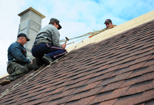 Best Shingle Roofing Installation  in Manassas Park, VA